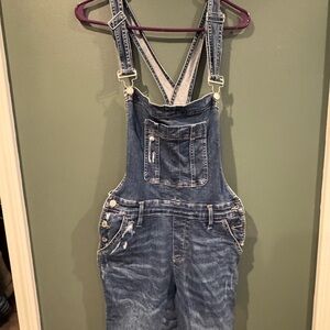 Judy Blue Denim Overalls